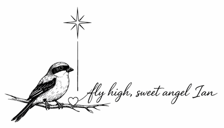 Pen drawing of a small bird on a branch beneath a star, lettered: fly high, sweet angel Ian.