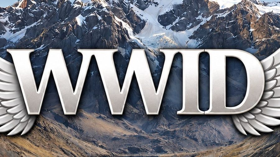 A close-up crop of the What Would Ian Do Foundation's emblem: the WWID wordmark and wings filling the frame over a mountain backdrop.