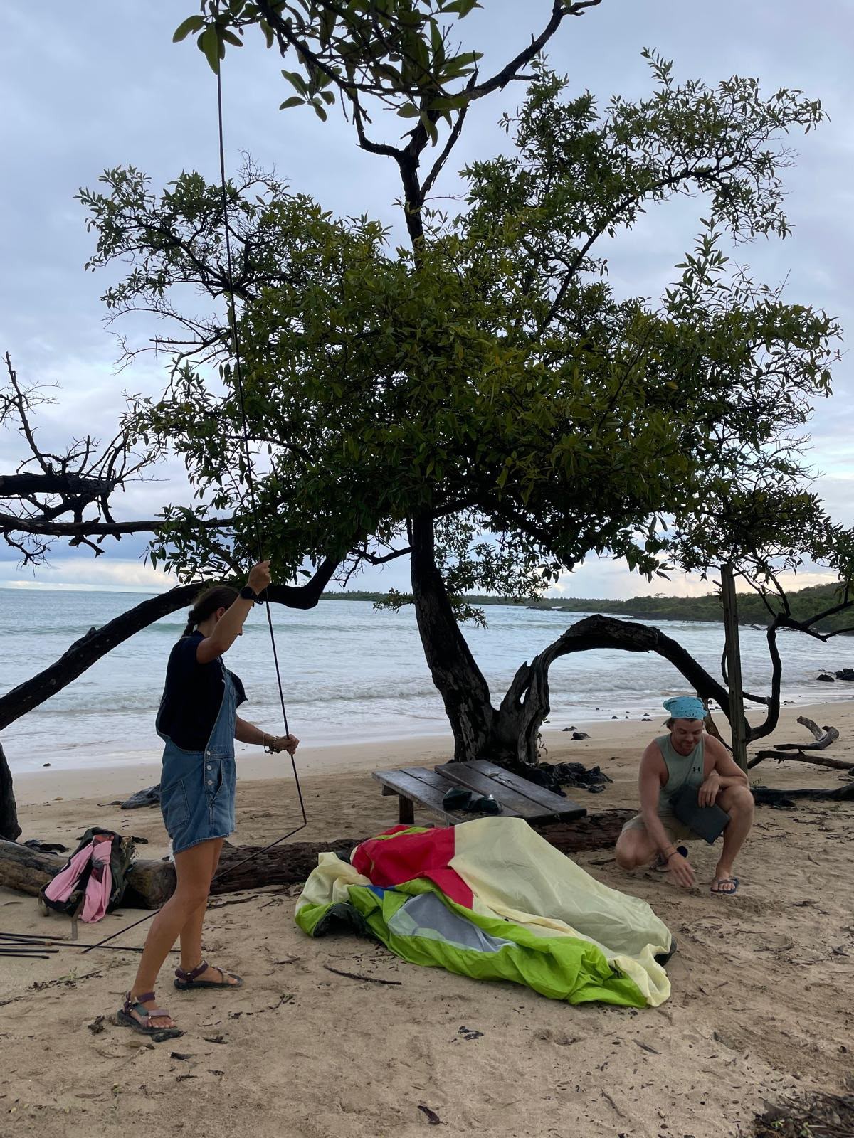Ian and a friend setting up a tent beneath a gnarled tree on a Galápagos beach at dusk, the surf and a picnic table beside them.